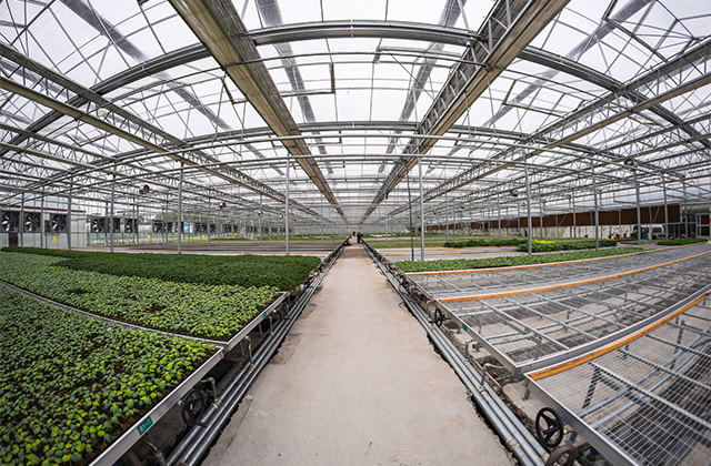 溫室大棚用鍍鋅管用什么規(guī)格的，選擇哪些鍍鋅鋼管？